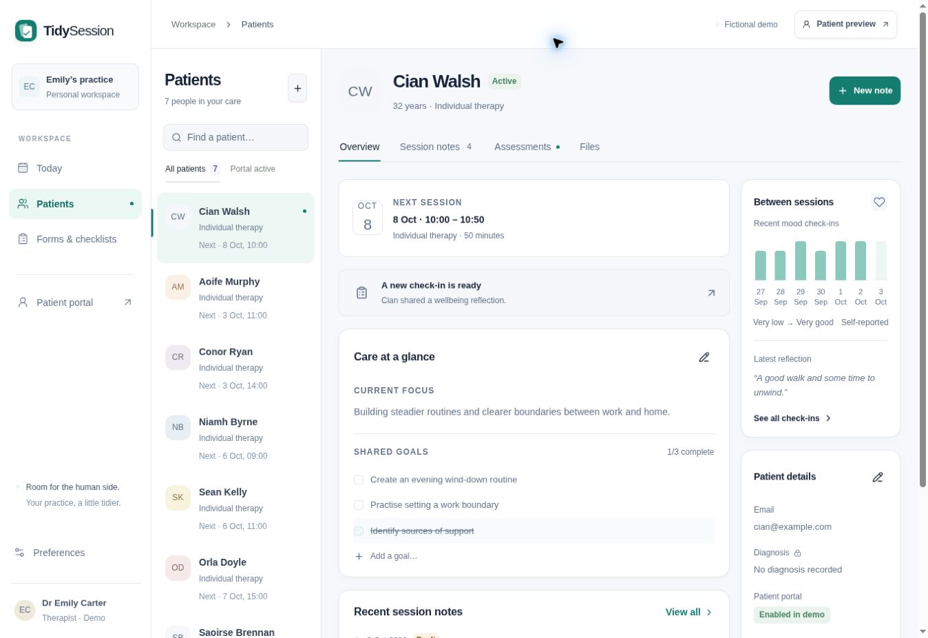 TidySession patient workspace with a patient directory, session notes, goals, upcoming appointment and wellbeing check-ins